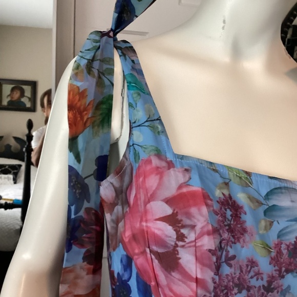 A6 - #281 Francesca's AUDREY PARKS LT BLUE FLORAL MAXI DRESS - Picture 3 of 11